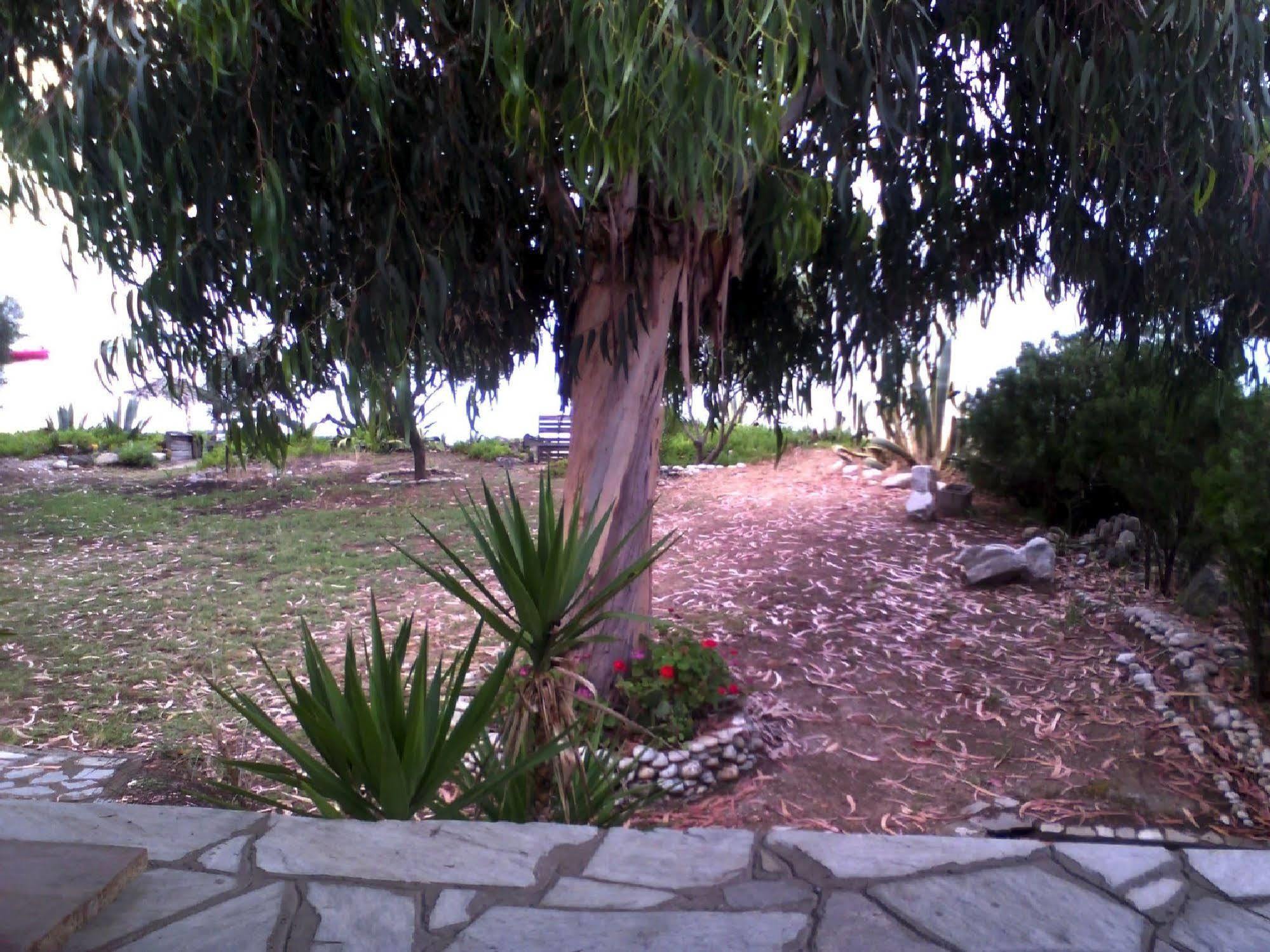 Agrelia House Villa Ouranoupoli Dış mekan fotoğraf